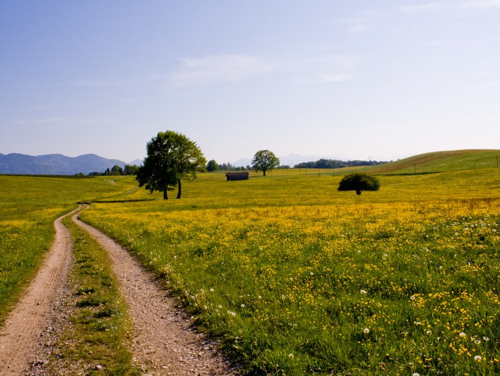 Königsdorf, © Jan Vesper