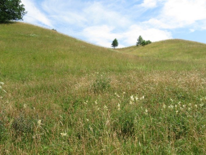 Fuizn, &copy; Gemeinde K&ouml;nigsdorf