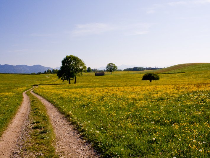 K&ouml;nigsdorf, &copy; Jan Vesper