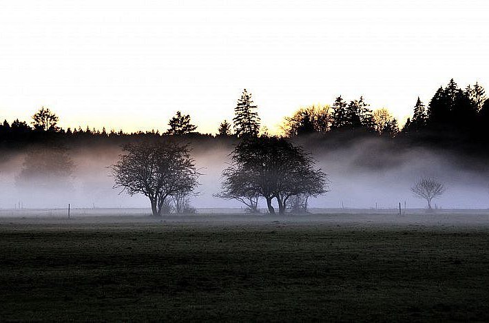 Nebel, © Velhorn-Schwarz